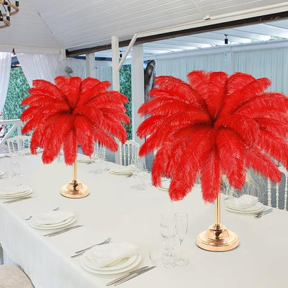 Retrowavy 30 Pcs 18-20 Inch Large Natural Ostrich Feathers Bulk for Centerpieces for Wedding Party Centerpieces Home Decoration Flower Arrangement (Red)