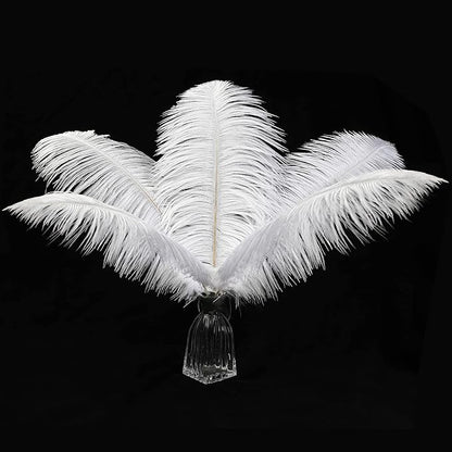 12pcs Natural White Ostrich Feathers 12-14inch (30-35cm) for Wedding Party Centerpieces，Flower Arrangement and Home Decoration.
