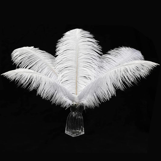 12pcs Natural White Ostrich Feathers 12-14inch (30-35cm) for Wedding Party Centerpieces，Flower Arrangement and Home Decoration.