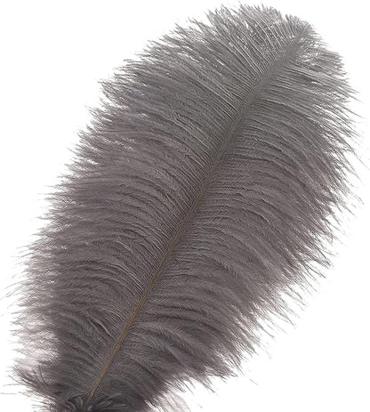 Ballinger Natural Gray Ostrich Feathers - 24pcs 8-10inch for Wedding Party Centerpieces Home Decor
