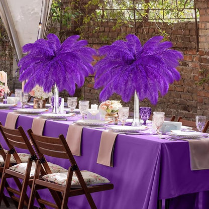80 Pcs Large Natural Ostrich Feathers Plumes 14-16 Inch Bulk for DIY Crafts Wedding Party Centerpiece Vase