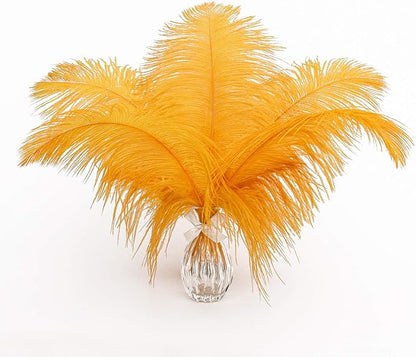 24pcs Natural Luxury Gold Ostrich Feathers 10-12inch (25-30cm) for Wedding Party Centerpieces，Flower Arrangement and Home Decoration.