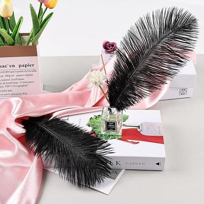 THARAHT Black Ostrich Feathers 24pcs Natural Bulk 8-10Inch 20cm-25cm for Crafts Wedding Party Centerpieces Halloween and Home Decoration Feathers
