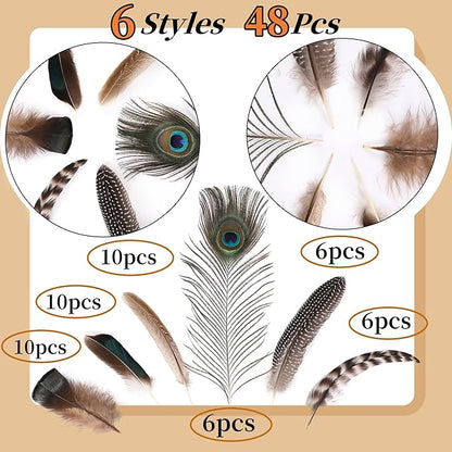 Holmgren 48pcs Natural Feathers Bulk - 6 Styles Assorted Peacock, Pheasant, Turkey Feathers for Craft DIY Jewelry Hat Wedding Home Party Decoration