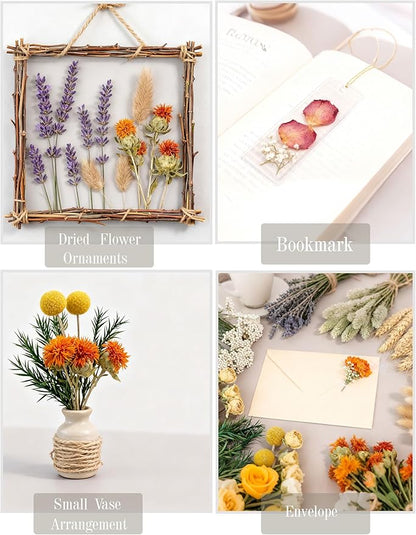DIY Natural Dried Flower Set, Bulk Dried Flowers for Vase, Dried Flowers with Stems, Dried Roses, Mini Dried Flower Bouquets.(Brown)