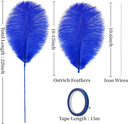 Holmgren Royal Blue Ostrich Feather - 20pcs Making Kit 22 Inch Large Ostrich Feathers for Vase, Floral Arrangement, Wedding Party Centerpieces Home Decorations (Royal Blue)