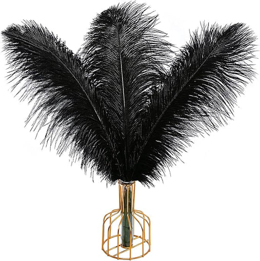 THARAHT Black Ostrich Feathers 12pcs Large Natural Bulk 20-22Inch 50cm-55cm for Wedding Party Centerpieces Halloween and Home Decoration Feathers