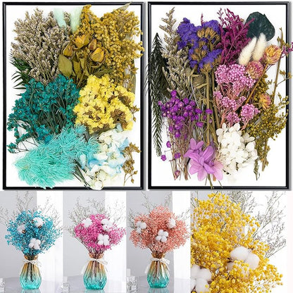 Vignee Real Dried Pressed Leaf Flowers-Multiple Colorful Pressed Flowers Daisies for Craft Resin Jewelry Making Art Craft DIY（Blue & Purple）