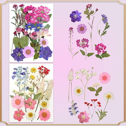 120Pcs Dried Pressed Flowers for Resin Mould Dry Flower Real Leaves Bulk with Tweezers Natural Herbs Kit for Scrapbooking DIY Art Crafts Candle Jewelry Making Nails Floral Decoration(Multicolor)