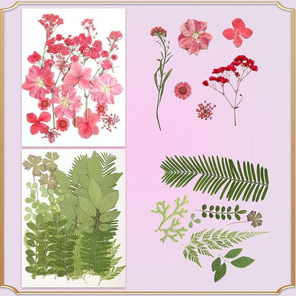 120Pcs Dried Pressed Flowers for Resin Mould Dry Flower Real Leaves Bulk with Tweezers Natural Herbs Kit for Scrapbooking DIY Art Crafts Candle Jewelry Making Nails Floral Decoration(Multicolor)