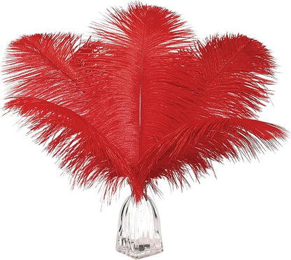 12pcs Natural Bright Red Ostrich Feathers 12-14inch (30-35cm) for Wedding Party Centerpieces，Flower Arrangement and Home Decoration.