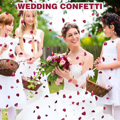20 Pack Prefilled Confetti Packets,Biodegradable Flower Petals, Real Dried Flower Petals Individual Packing Rose Petals Wedding Send Off Ideas (Red Rose & Lavender & Lvory Jasmine Buds)