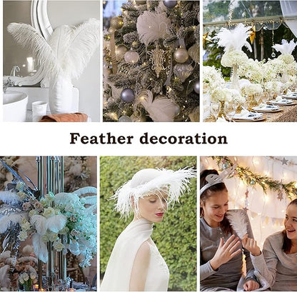 NEWONG 30pcs White Ostrich Feathers Natural Bulk 8-10inch(20-25cm) Vase Craft Wedding Home Party Centerpieces Christmas Day Decoration
