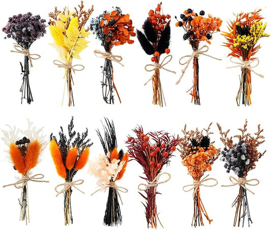 10/12/24/36 Pack Mini Dried Flowers for Vase Wedding Various Mini Bouquet Dried Small Wildflowers Natural Flowers Bulk for Crafts DIY Decor (12, Halloween Color2)