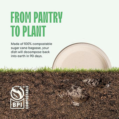 100% Compostable Paper Plates 9 Inch [500 Count] Heavy-Duty Dinner Plates - Natural Brown Color Unbleached Bagasse - Eco-Friendly Disposable Biodegradable Sugarcane Plates - [Bulk Case 4/125 Pack]