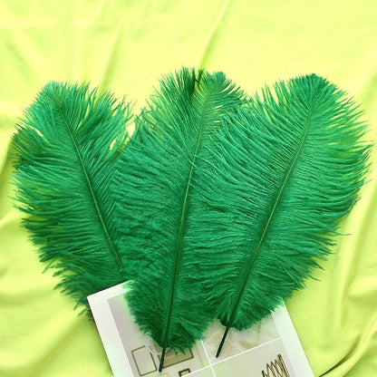 Ballinger Green Large Ostrich Feathers - 12pcs 12-14inch Feathers for Vase, Wedding Party Centerpieces Mardi Gras Decorations and Home Decor(Green)