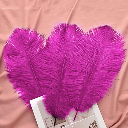 Ballinger Fuchsia Large Ostrich Feathers - 24pcs 10-12inch Craft Feathers Bulk for r Party Centerpieces, Flower Arrangement and Home Decor