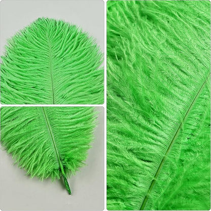 THARAHT Green Ostrich Feathers 12pcs Natural Bulk 8-10Inch 20cm-25cm for Crafts Wedding Party Centerpieces Mardi Gras and Home Decoration Feathers