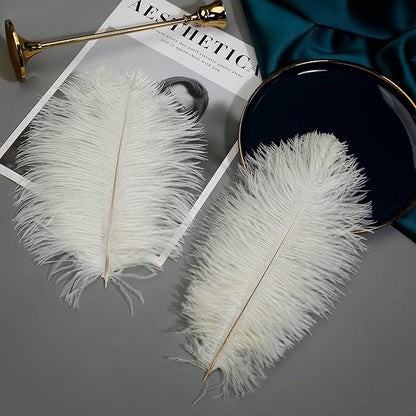 Ballinger Beige Ostrich Feathers Bulk - 24pcs 12-14inch Cream Feathers for Vase,Wedding Party Centerpieces and Home Decor
