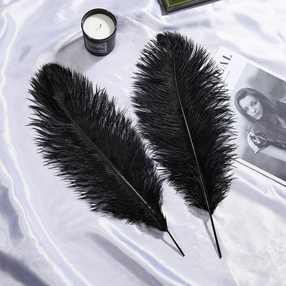 Larryhot Black Ostrich Feathers Bulk - 16-18 inch 10pcs Feathers for Vase,Wedding Party Centerpieces and Home Decorations (Black)