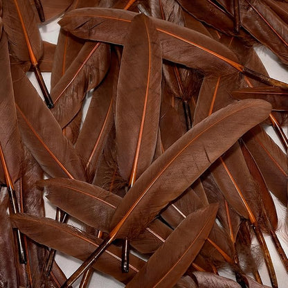 FeelfunFeather 120pcs Coffee Brown Goose Cochettes Feather Natural Bulk 4-6 inch 10-15cm for Wedding Party Christmas Decorations DIY Crafts Goose Cochettes Feather